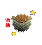 (In Chinene) CG Porcupinefish (2)（個別スタンプ：12）