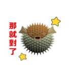 (In Chinene) CG Porcupinefish (2)（個別スタンプ：13）