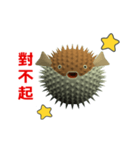(In Chinene) CG Porcupinefish (2)（個別スタンプ：16）