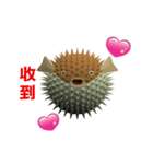 (In Chinene) CG Porcupinefish (1)（個別スタンプ：2）