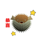 (In Chinene) CG Porcupinefish (1)（個別スタンプ：3）