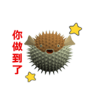 (In Chinene) CG Porcupinefish (1)（個別スタンプ：6）