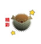 (In Chinene) CG Porcupinefish (1)（個別スタンプ：7）