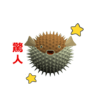 (In Chinene) CG Porcupinefish (1)（個別スタンプ：9）