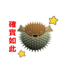 (In Chinene) CG Porcupinefish (1)（個別スタンプ：10）