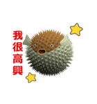 (In Chinene) CG Porcupinefish (1)（個別スタンプ：11）