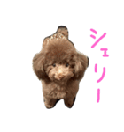 キュア.ラ（個別スタンプ：3）