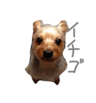 キュア.ラ（個別スタンプ：7）