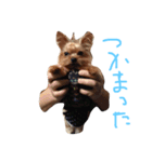 キュア.ラ（個別スタンプ：8）
