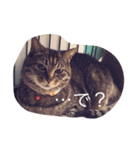 モモとキク（個別スタンプ：3）
