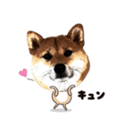 HPt presents 英知 太郎くん（個別スタンプ：6）