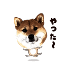 HPt presents 英知 太郎くん（個別スタンプ：7）