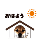 HPt presents 英知 太郎くん（個別スタンプ：15）