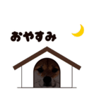 HPt presents 英知 太郎くん（個別スタンプ：16）
