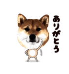 HPt presents 英知 太郎くん（個別スタンプ：18）