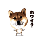 HPt presents 英知 太郎くん（個別スタンプ：20）