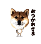 HPt presents 英知 太郎くん（個別スタンプ：22）