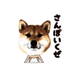 HPt presents 英知 太郎くん（個別スタンプ：28）