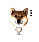 HPt presents 英知 太郎くん（個別スタンプ：29）