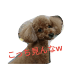 よもぎのスタンプやぞ（個別スタンプ：4）