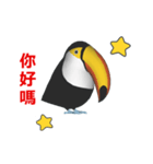 (In Chinene) CG Toco Toucan (2)（個別スタンプ：5）