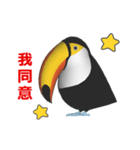 (In Chinene) CG Toco Toucan (1)（個別スタンプ：1）