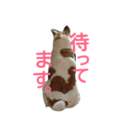 犬の幸せな日々。（個別スタンプ：10）