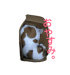 犬の幸せな日々。（個別スタンプ：11）