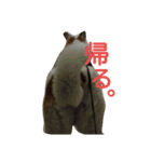 犬の幸せな日々。（個別スタンプ：13）
