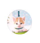 子猫のニイルときなこ（個別スタンプ：3）