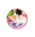 子猫のニイルときなこ（個別スタンプ：8）