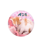 子猫のニイルときなこ（個別スタンプ：9）