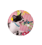 子猫のニイルときなこ（個別スタンプ：12）