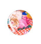 子猫のニイルときなこ（個別スタンプ：17）
