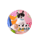 子猫のニイルときなこ（個別スタンプ：18）