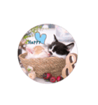 子猫のニイルときなこ（個別スタンプ：21）