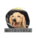 真臣とその仲間たち（個別スタンプ：6）
