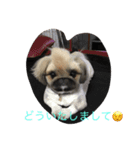 栗田一家（個別スタンプ：8）
