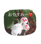 疲れ切った てるてる坊主（個別スタンプ：24）