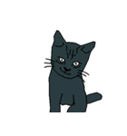 ugly-neko（個別スタンプ：2）