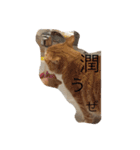 茶色のちゃねこ（個別スタンプ：13）