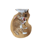茶色のちゃねこ（個別スタンプ：20）