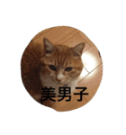 茶色のちゃねこ（個別スタンプ：22）