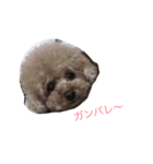 ニコの気持ち（個別スタンプ：6）