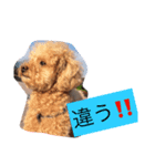 ニコの気持ち（個別スタンプ：7）