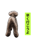ニコの気持ち（個別スタンプ：8）