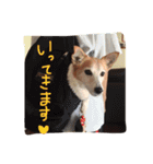 ずくたんすたんぷ（個別スタンプ：4）