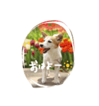 ずくたんすたんぷ（個別スタンプ：11）