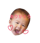そうたんスタンプ！（個別スタンプ：3）