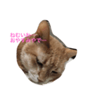 ねこやろ…（個別スタンプ：5）